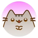 🐱
