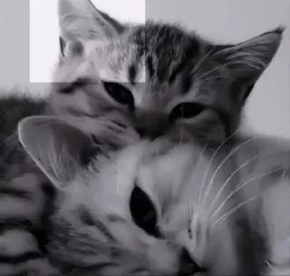 ❤️