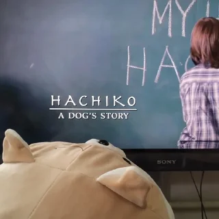 📺