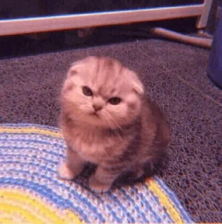 😡