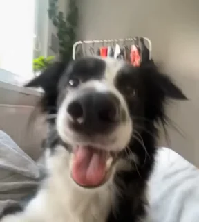 😎