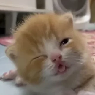 😜