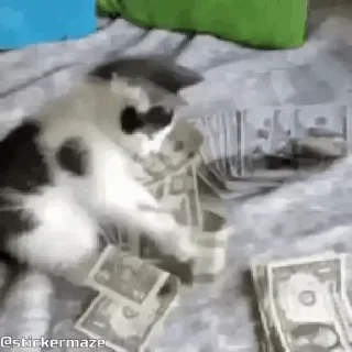💸