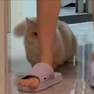 😋