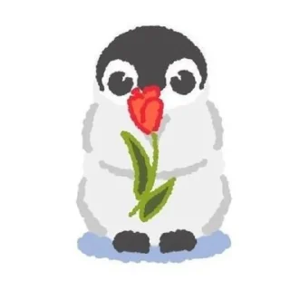 🌹
