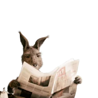 🗞️