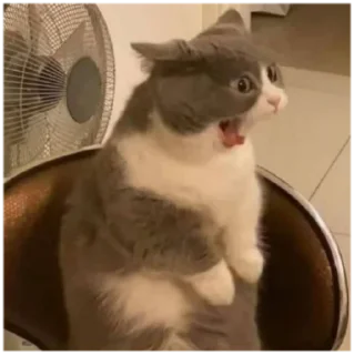 😱