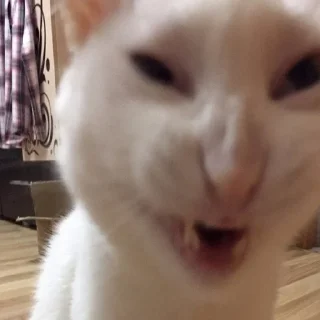 😩