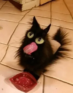 🤪