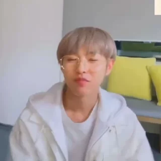 🦊