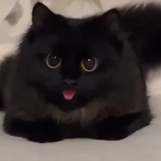 🤩