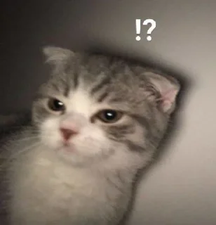 ⁉️