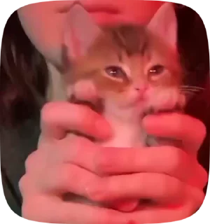 👀
