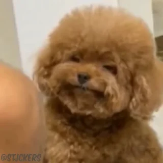 😕