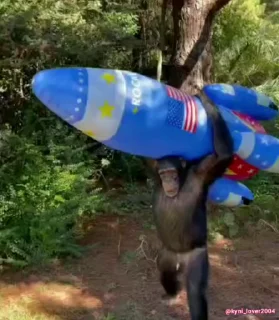 🚀