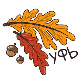 🍂