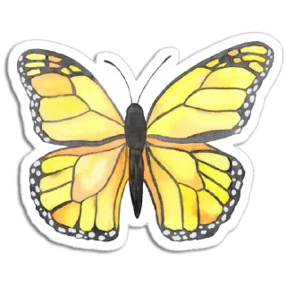 🦋