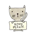 developer