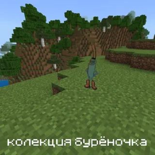 👞