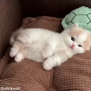 🙃