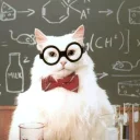 🐱