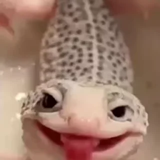 😁