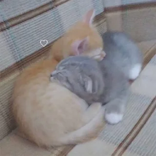 💕