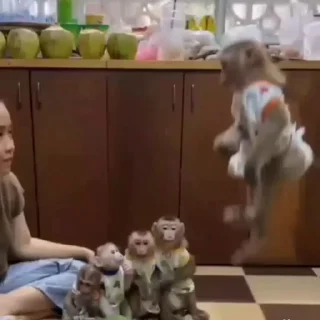 🤩