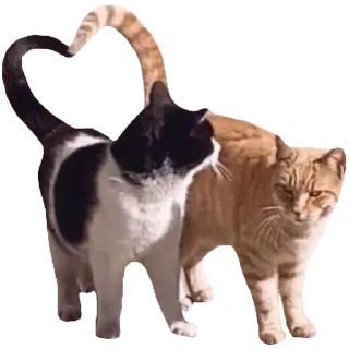 🥰