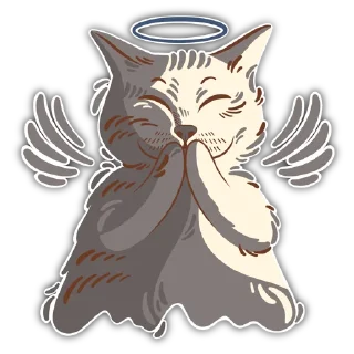 😇