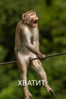 🥴