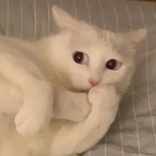 🤭