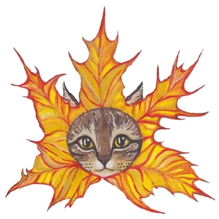 🍁