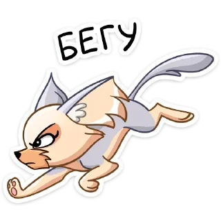 🏃‍♂️