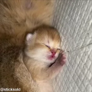 😁