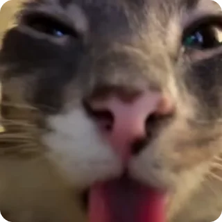👅