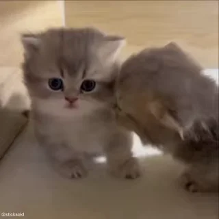 😘