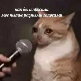 😭