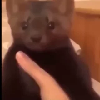 😐