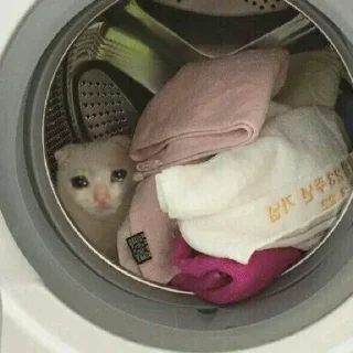 🥺