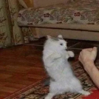 👊