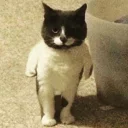🤜