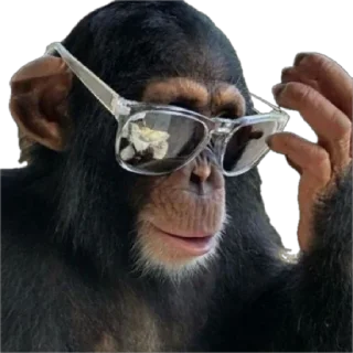 😎