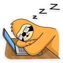 😴