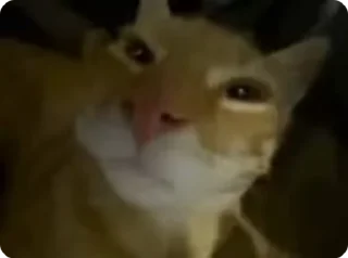 🛏