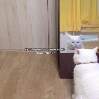 😞