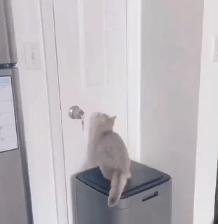🥲