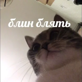 🙂