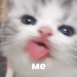 😝