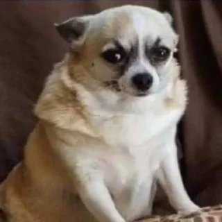 😠